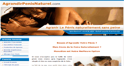 Desktop Screenshot of agrandirpenisnaturel.com