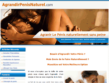 Tablet Screenshot of agrandirpenisnaturel.com